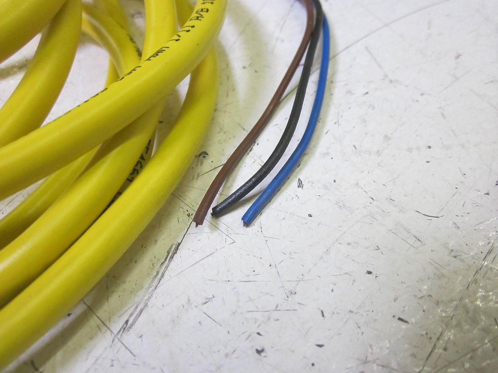 TURCK RK 31-6M CORDSET *NEW NO BOX*