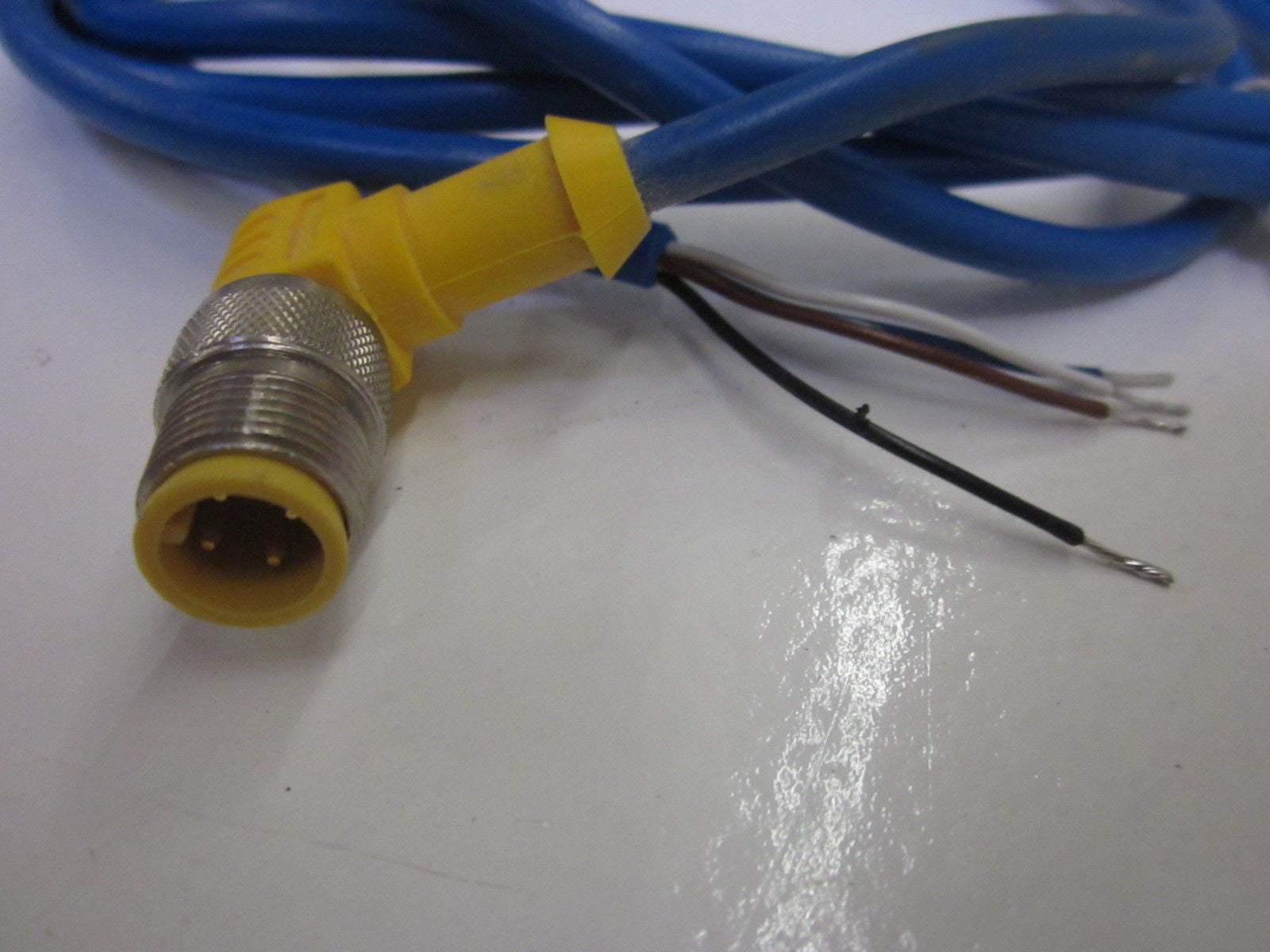 TURCK WS4.41T-2 CORDSET *NEW NO BOX*