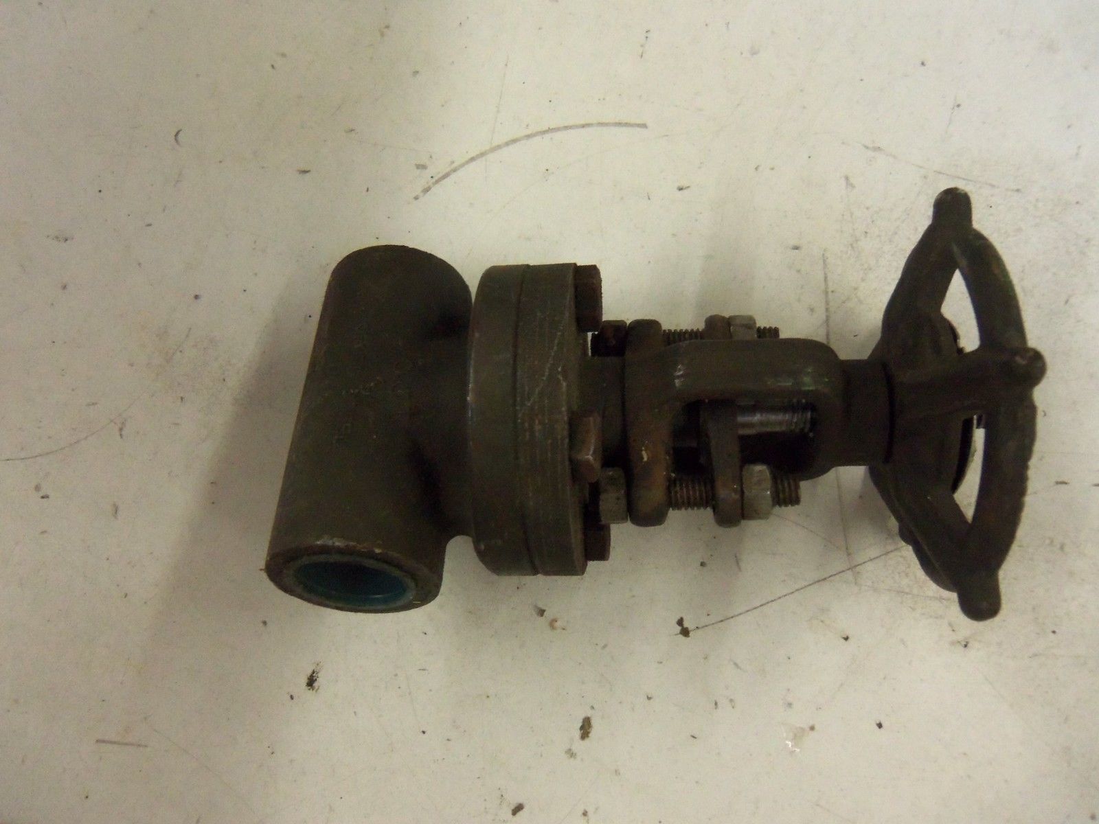 FLOWSERVE 40404-2R20 GATE VALVE 3/4" *NEW NO BOX*