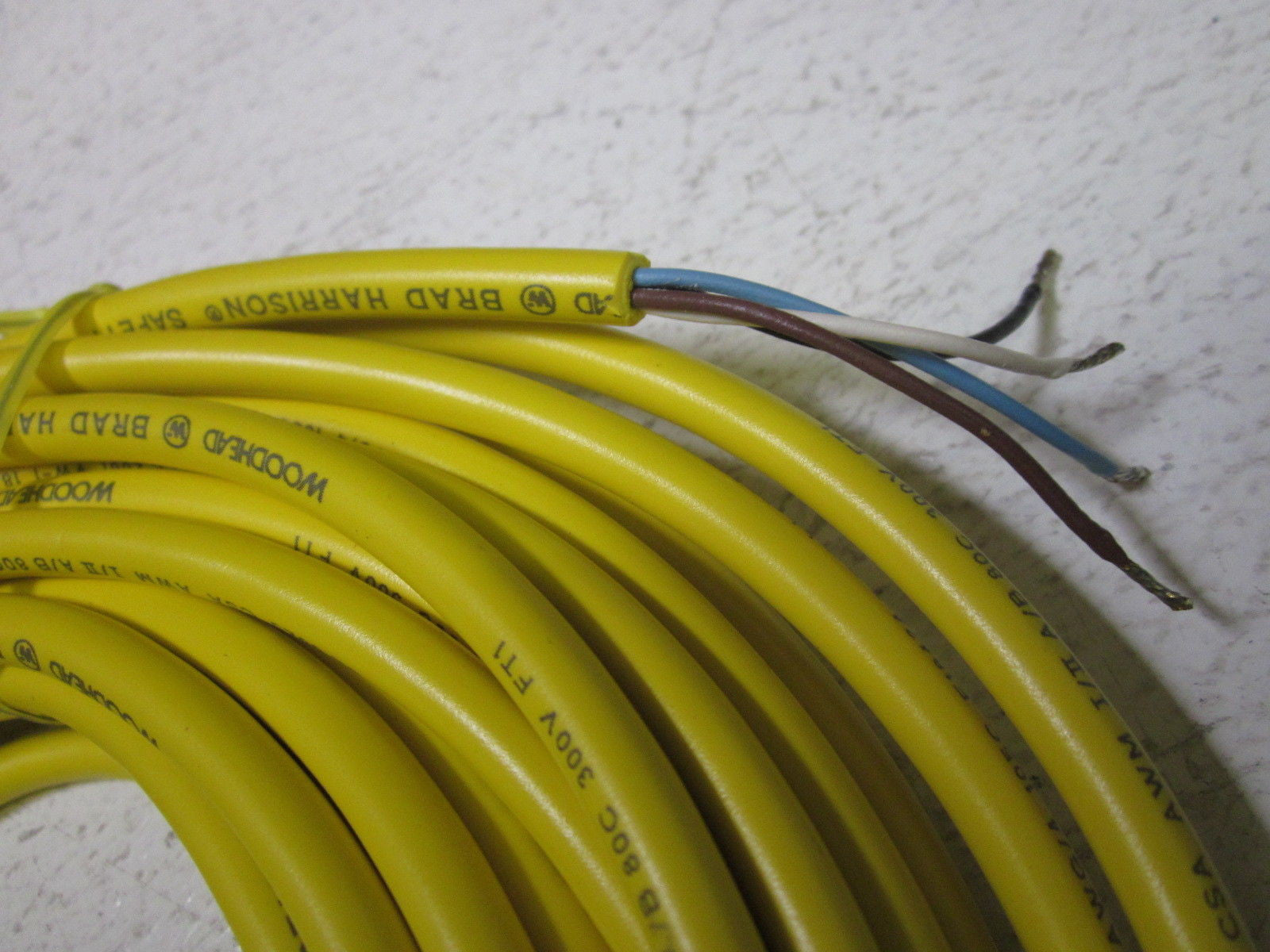 WOODHEAD AC105-50 4 CONDUCTOR CONNECTOR CABLE *NEW IN BOX*